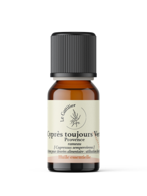 CYPRES TOUJOURS VERT Certifié Bio (Origine France, Provence)