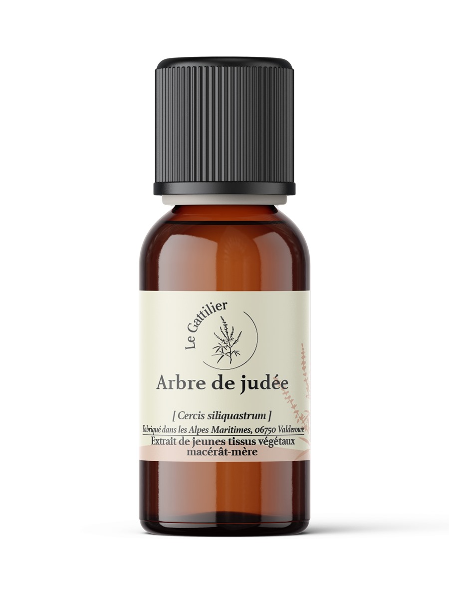 ARBRE DE JUDEE macérat mère certifié Bio, Demeter (Origine France)