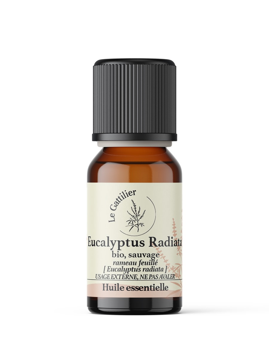 Huile essentielle BIO - Eucalyptus Radiata 100 % pure et naturelle