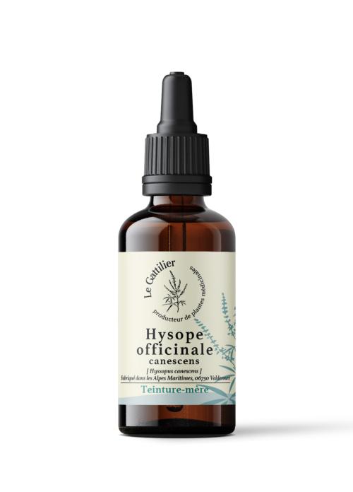 HYSOPE OFF CANESCENS certifié Bio, Demeter (Origine France)