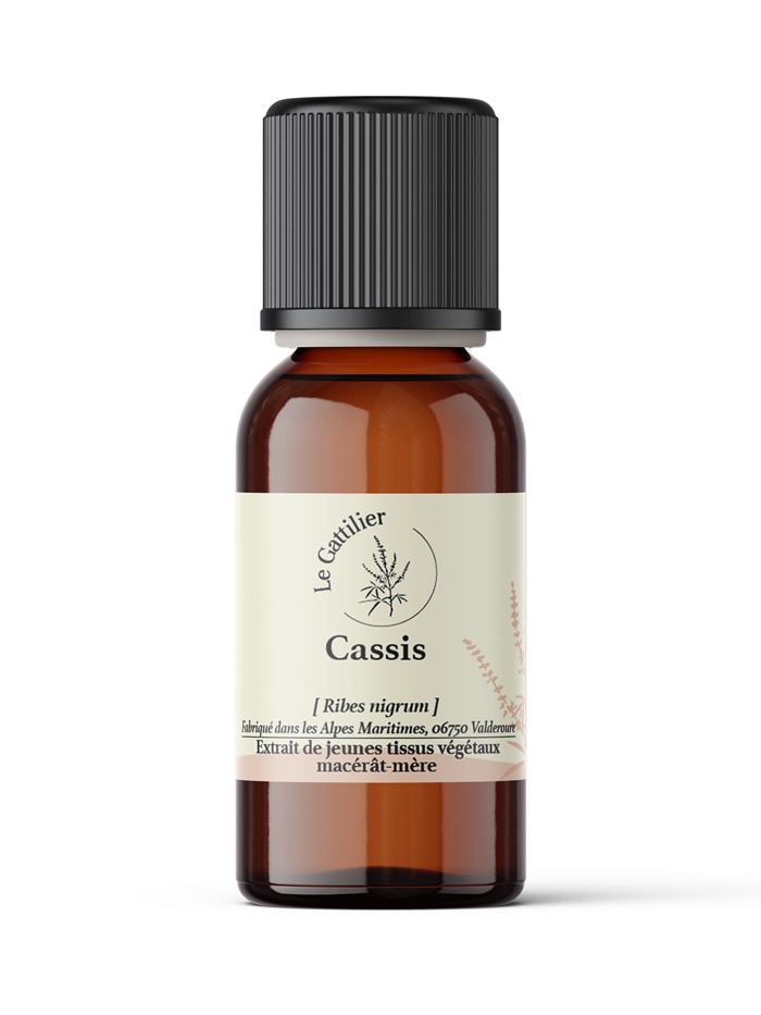 CASSIS macérat mère certifié Bio, Demeter (Origine France)