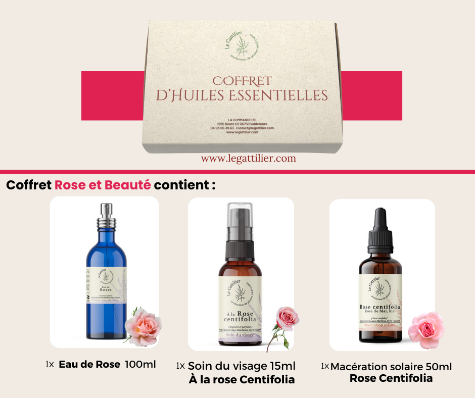 Rose et Beauté