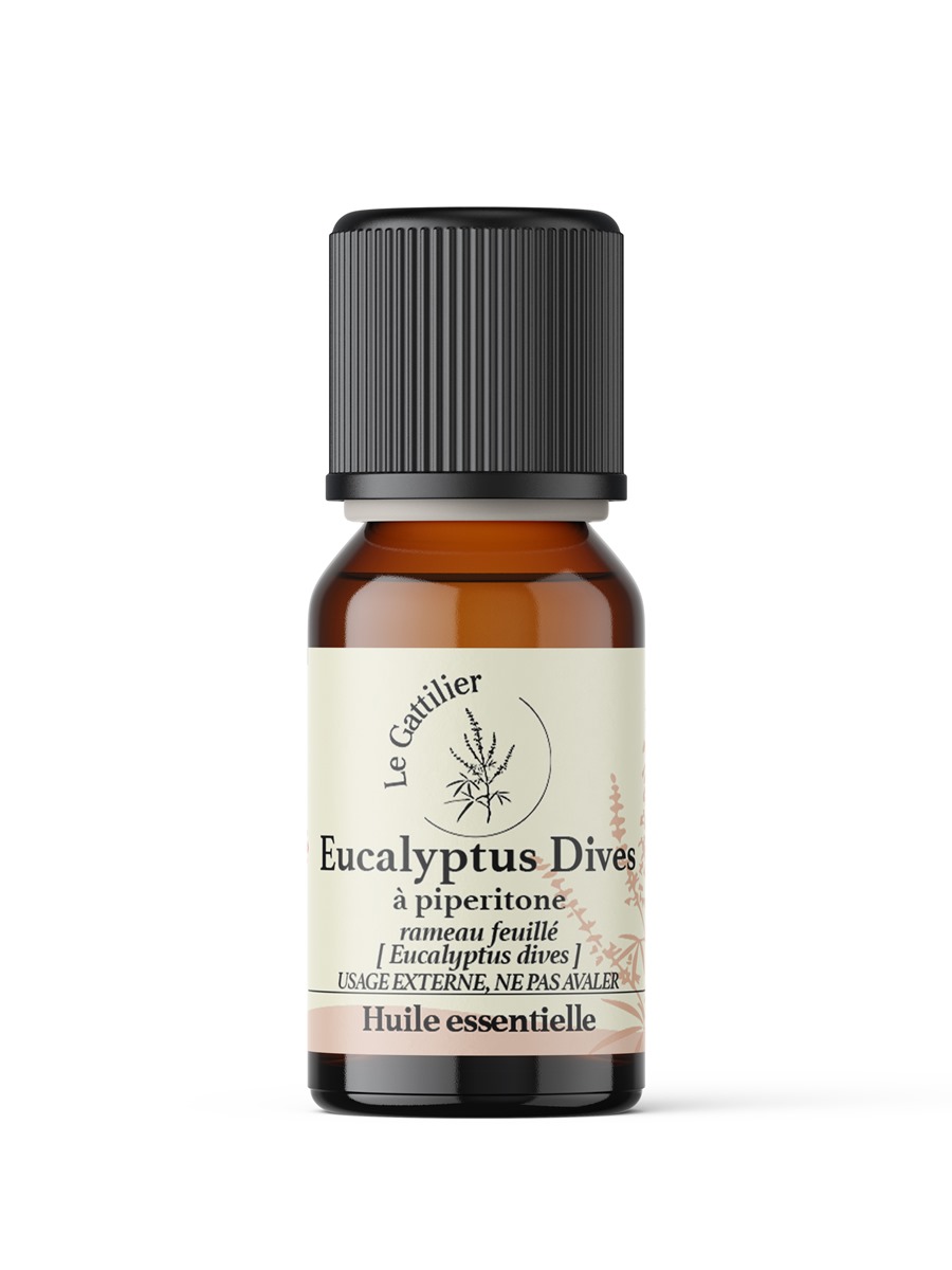 EUCALYPTUS DIVES À PIPERITONE Bio (Origine Afrique du Sud)