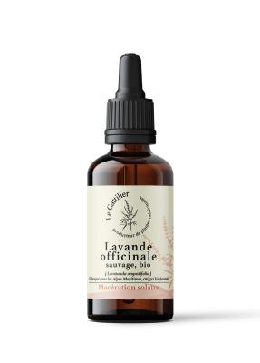 LAVANDE OFFICINALE SAUVAGE Bio, Demeter (Origine France)