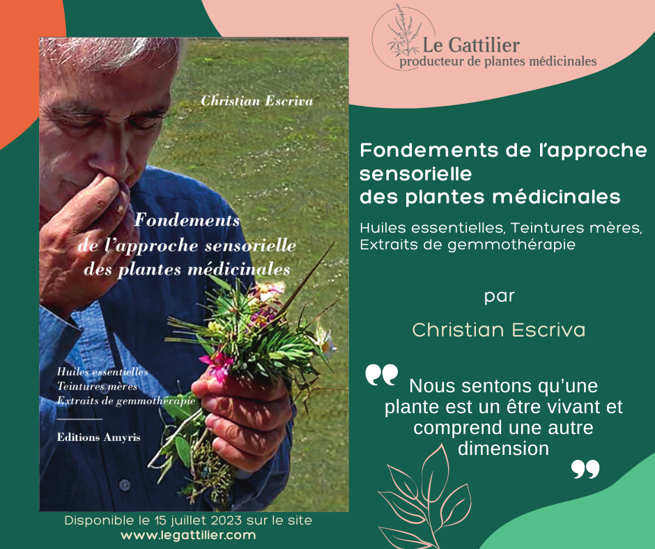 FONDEMENTS DE L'APPROCHE SENSORIELLE DES PLANTES MEDICINALES. PROMOTION JUSQU'AU 31/10/2023 10 EUROS AU LIEU DE 16 EUROS