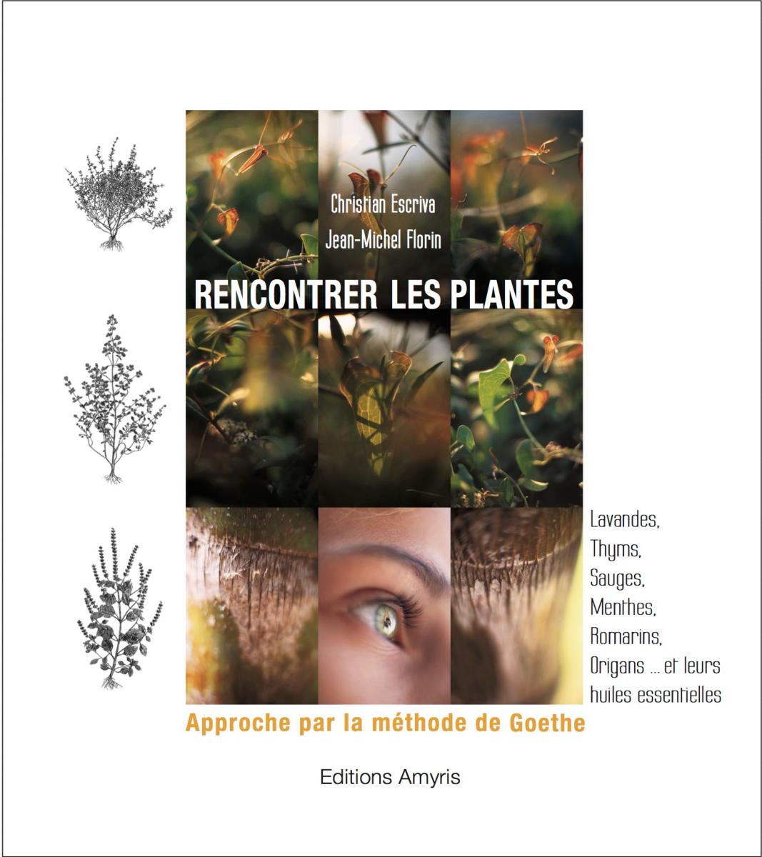 Rencontrer les plantes. Approche par la méthode de Goethe.