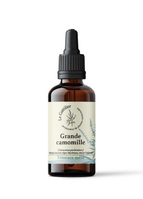 GRANDE CAMOMILLE certifié Bio, Demeter (Origine France)